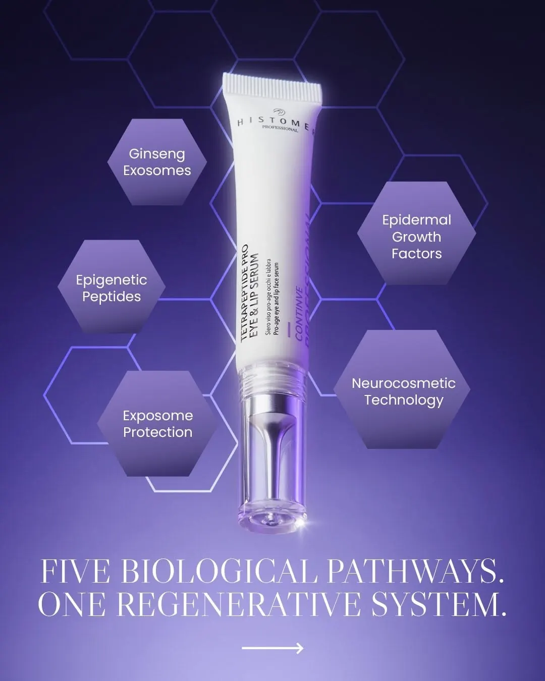 ContinVe biological pathways